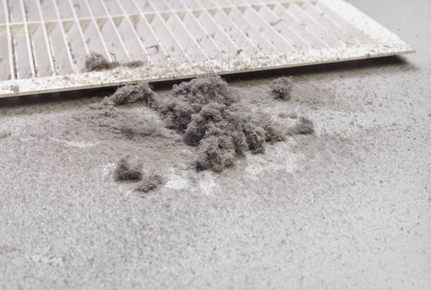 Best HVAC Air Duct Cleaning  in Kemp, TX