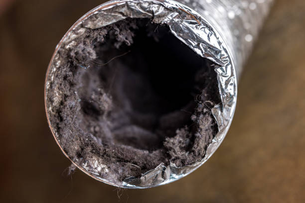 Best Best Air Duct Cleaning Near Me  in Kemp, TX