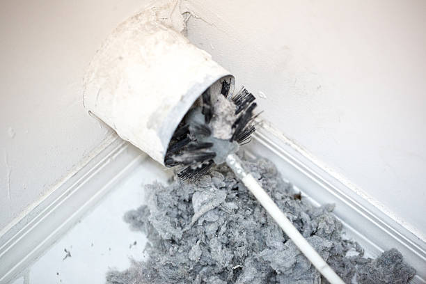 Best Local Air Duct Cleaning Services  in Kemp, TX